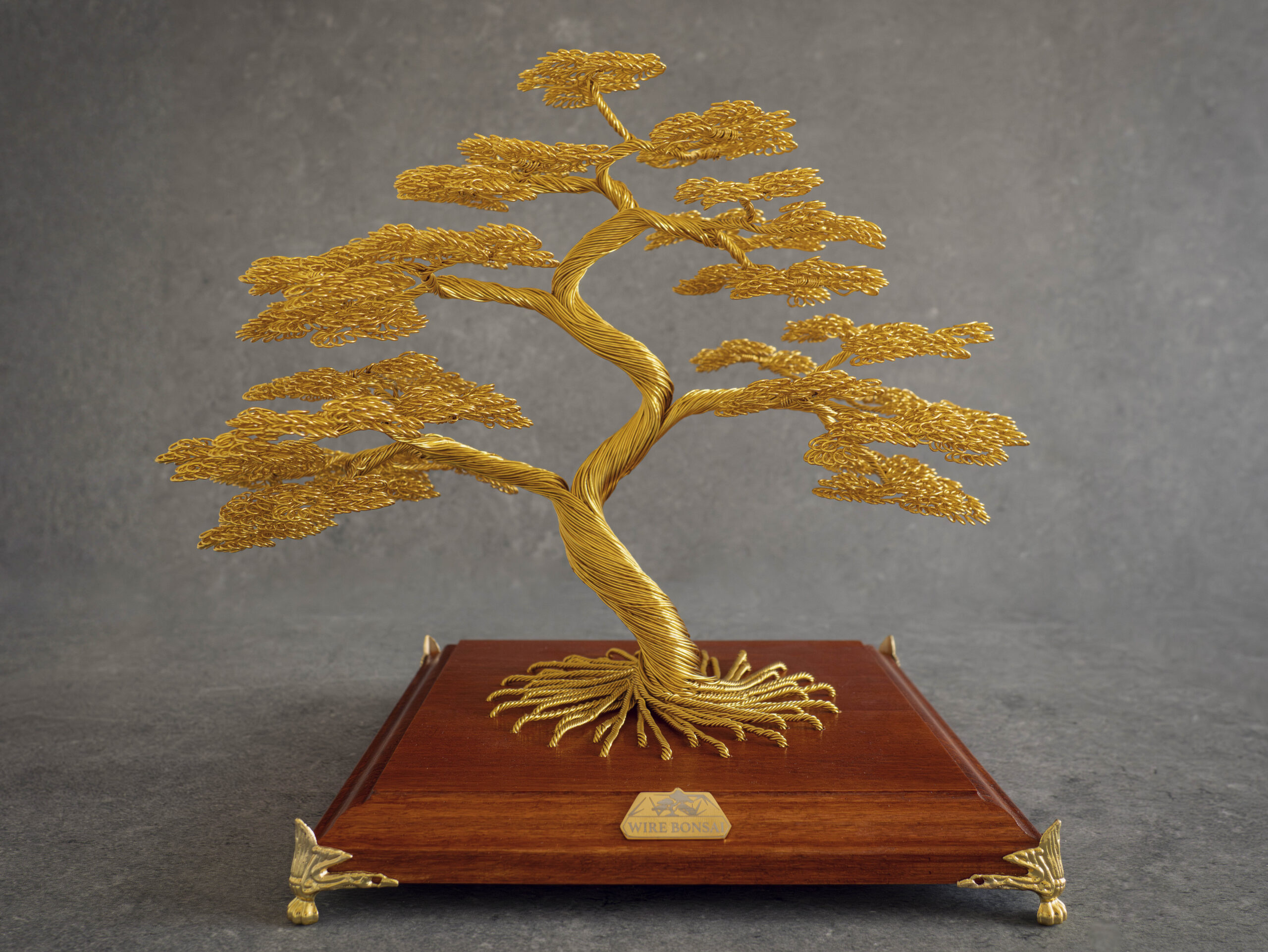 20.08.2026_Bonsai4 (small)-1