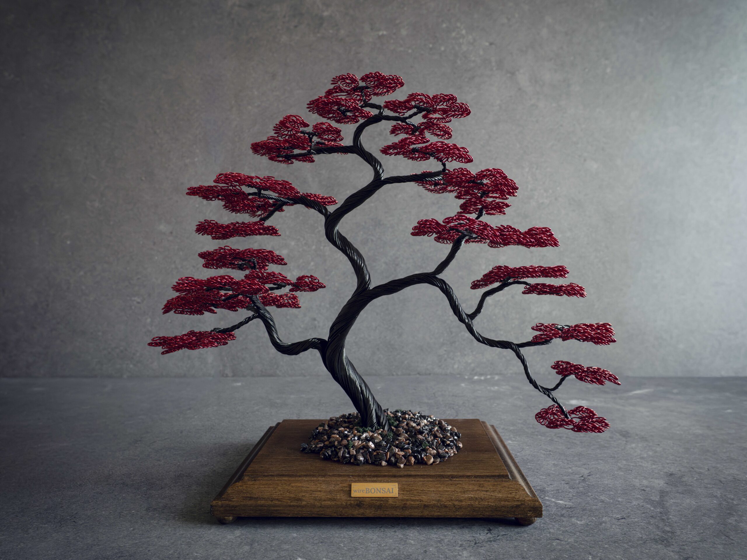 Bonsai 8 (fix) small-4