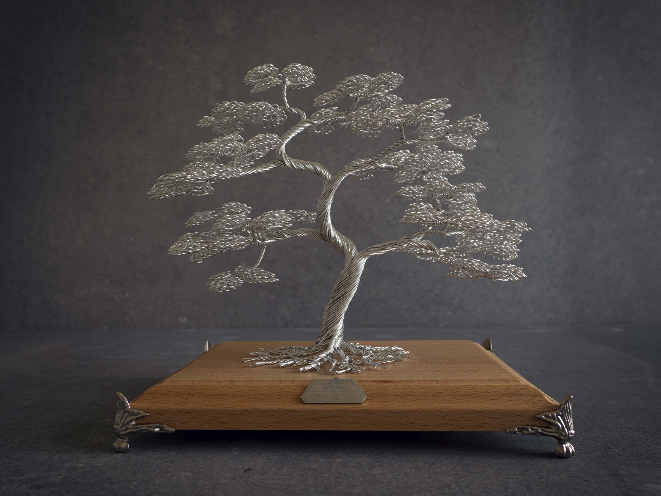 Wirebonsai 5 (small)