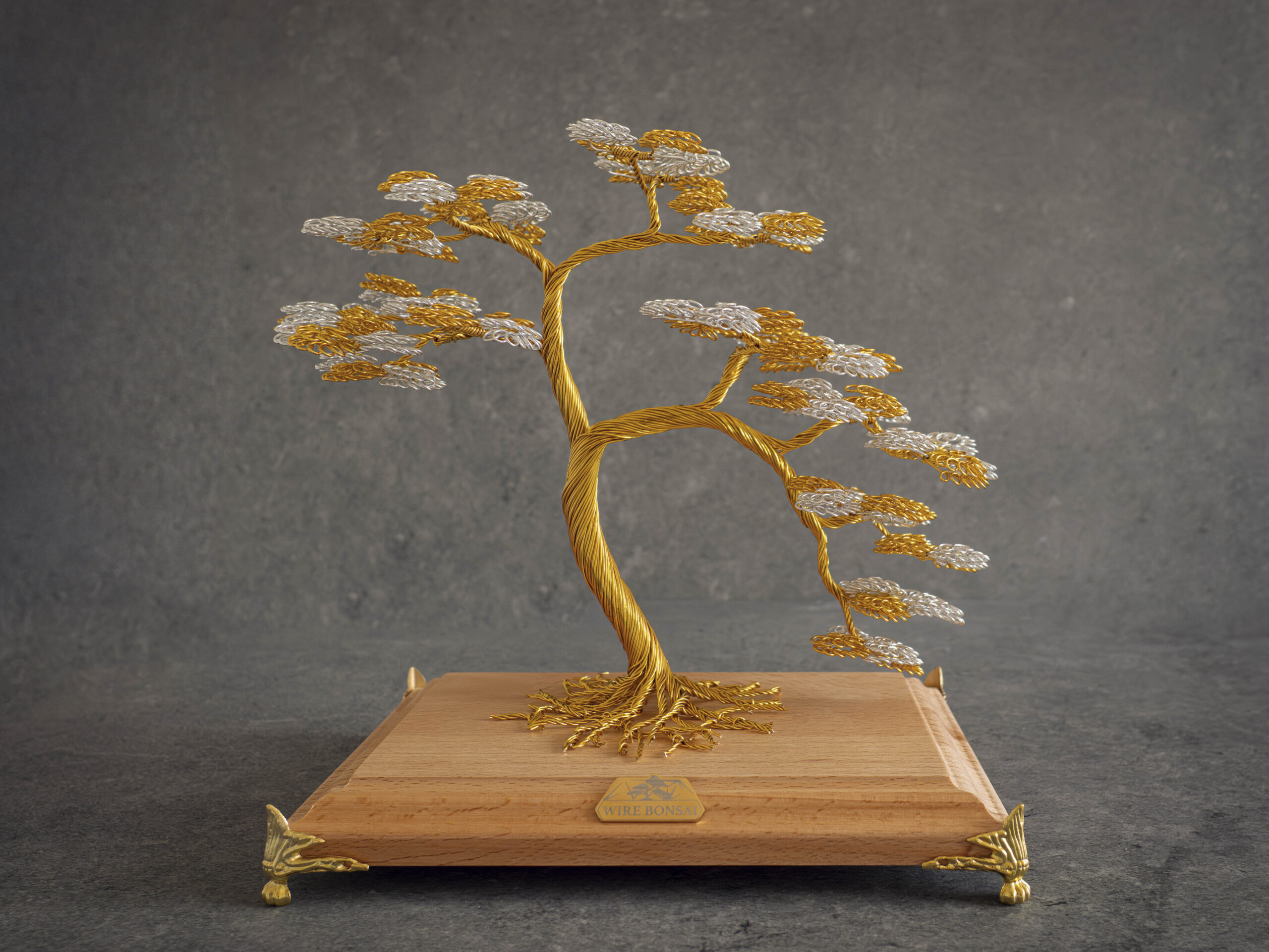 20.08.2026_Bonsai3 (small)-1
