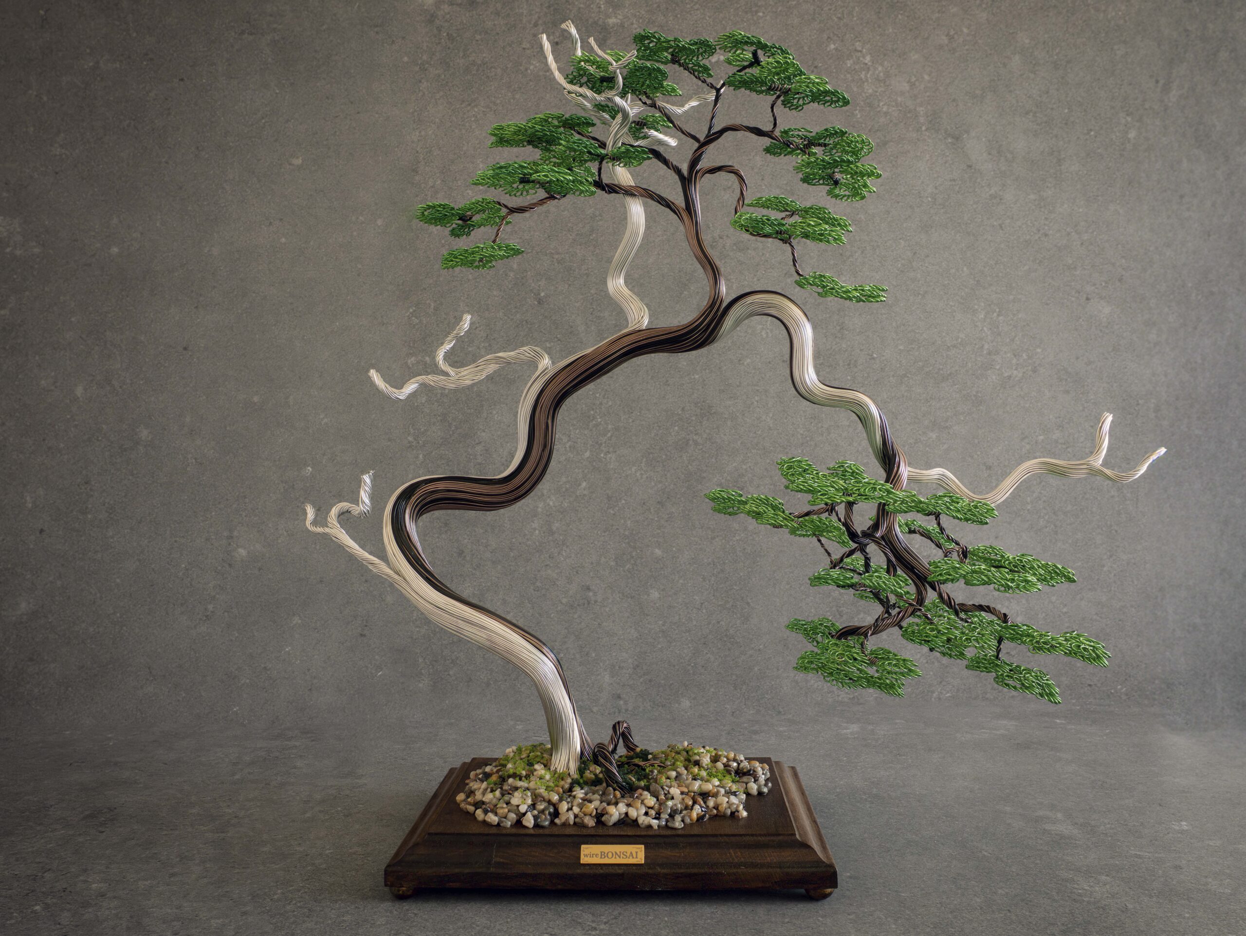13.08.2026_Bonsai6 (small)-1