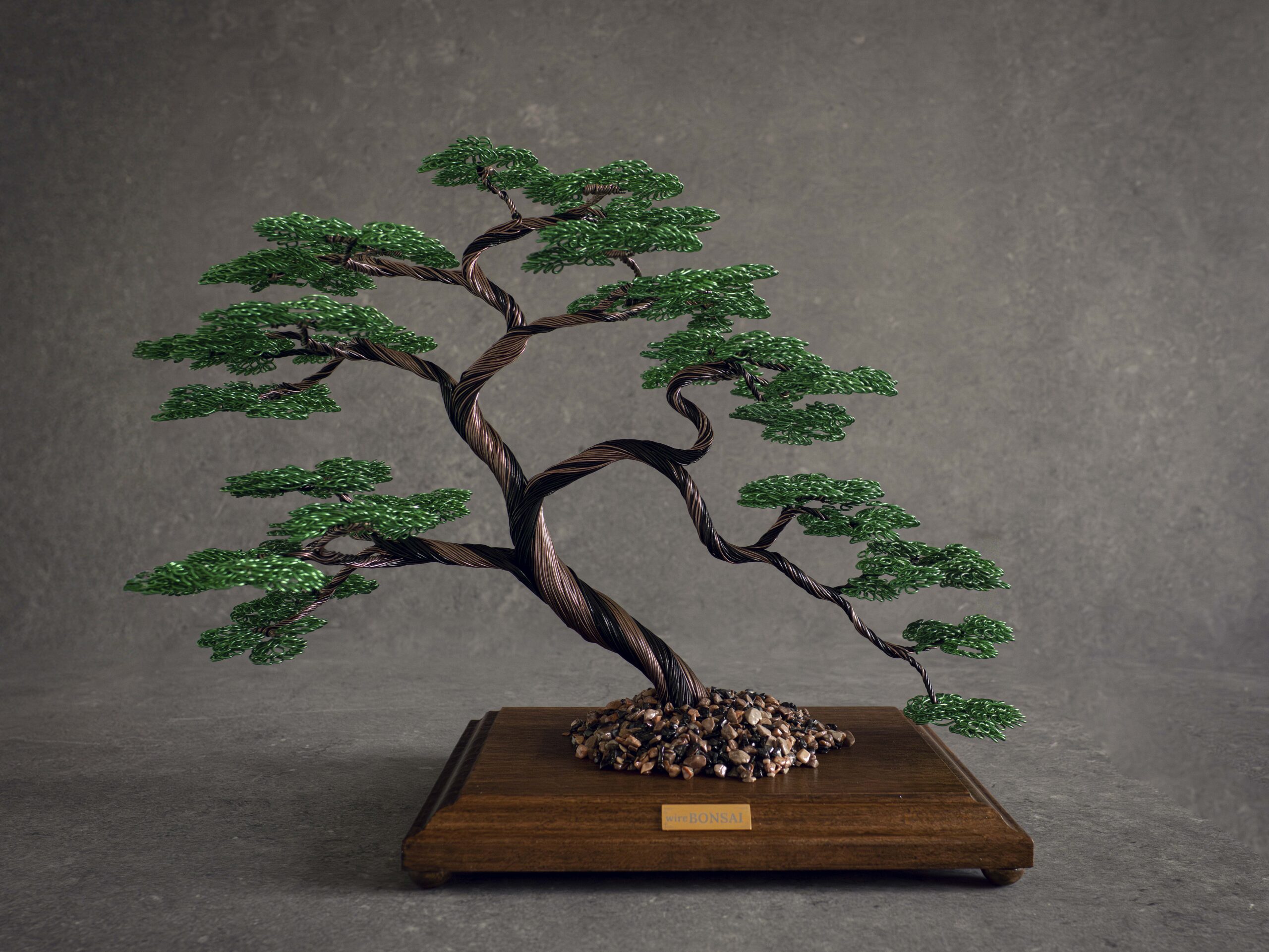 20.08.2026_Bonsai1 (small)-1