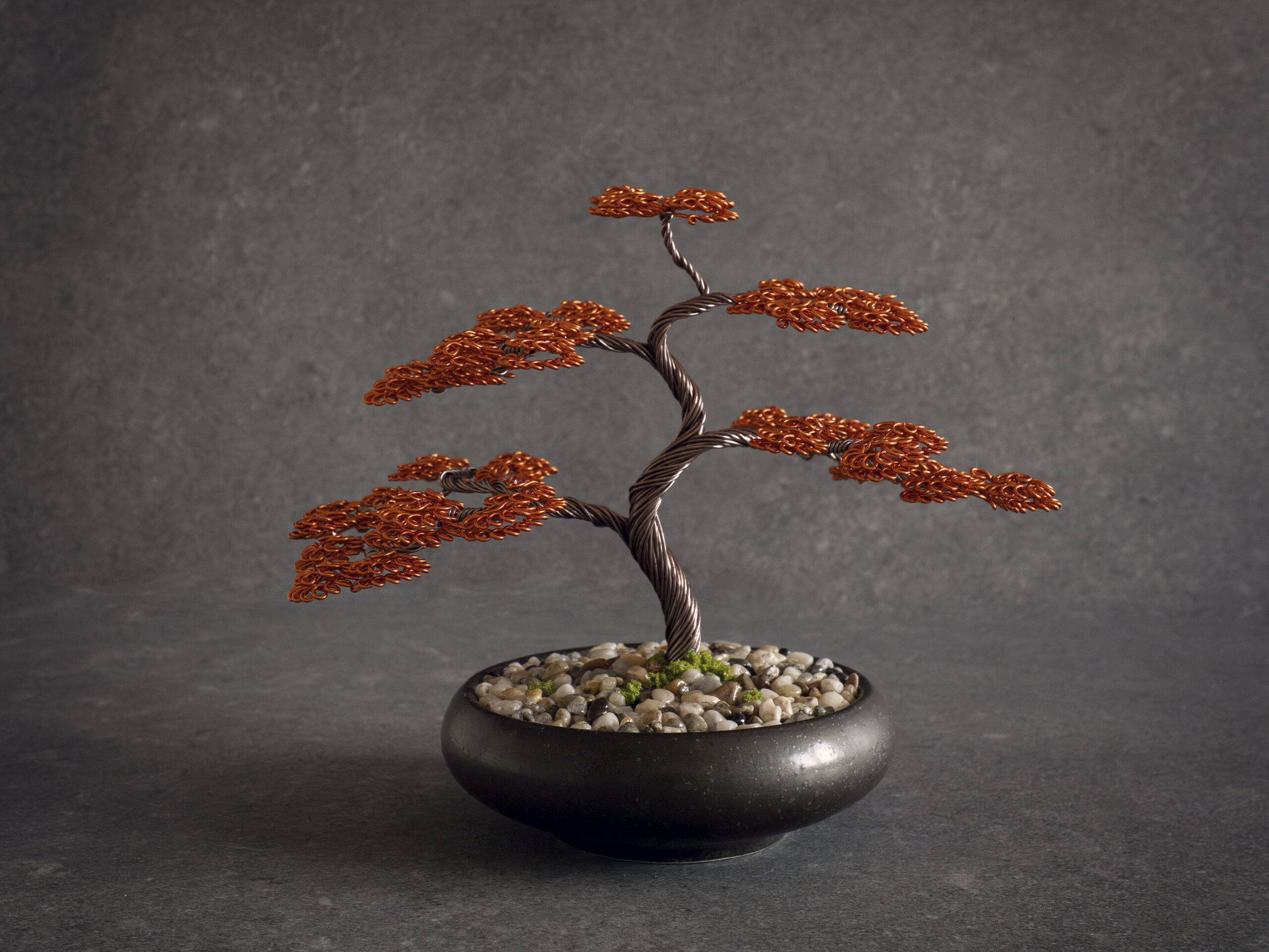 Wirebonsai_36 (small)-